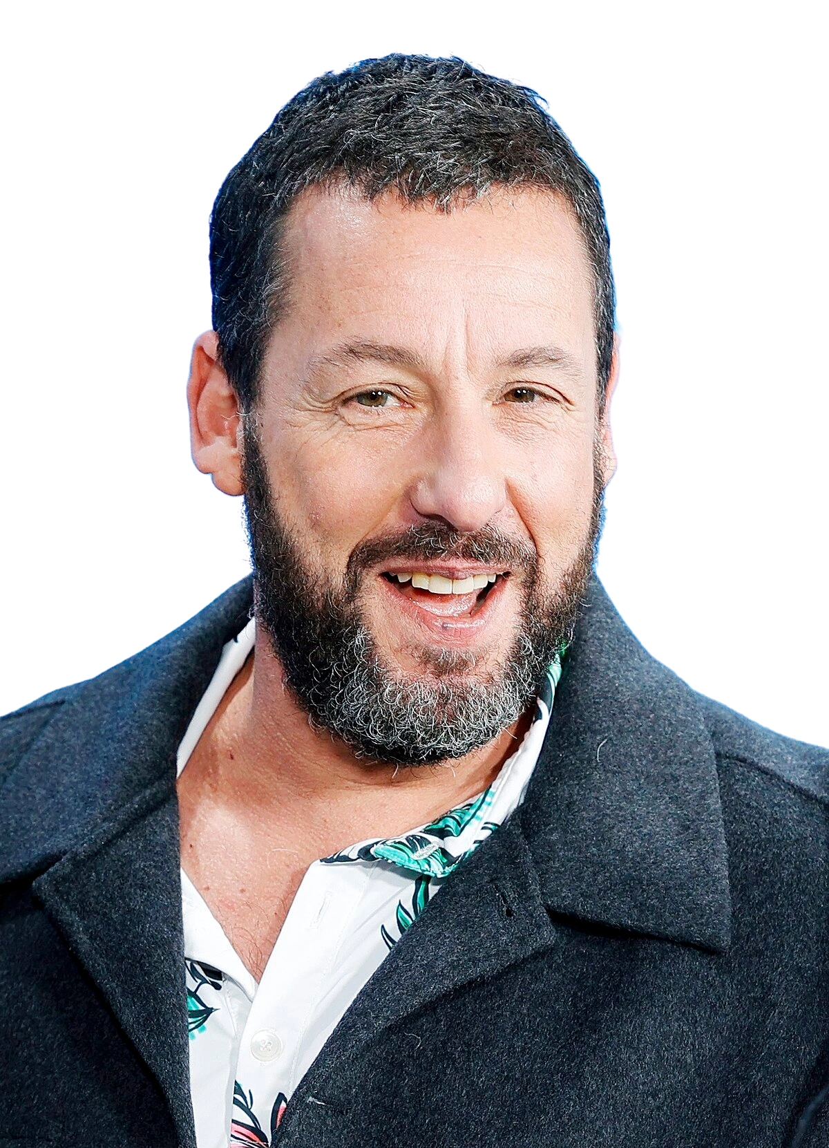 https://songwiz.nyc3.digitaloceanspaces.com/static/model/thumbnails/AdamSandler.webp