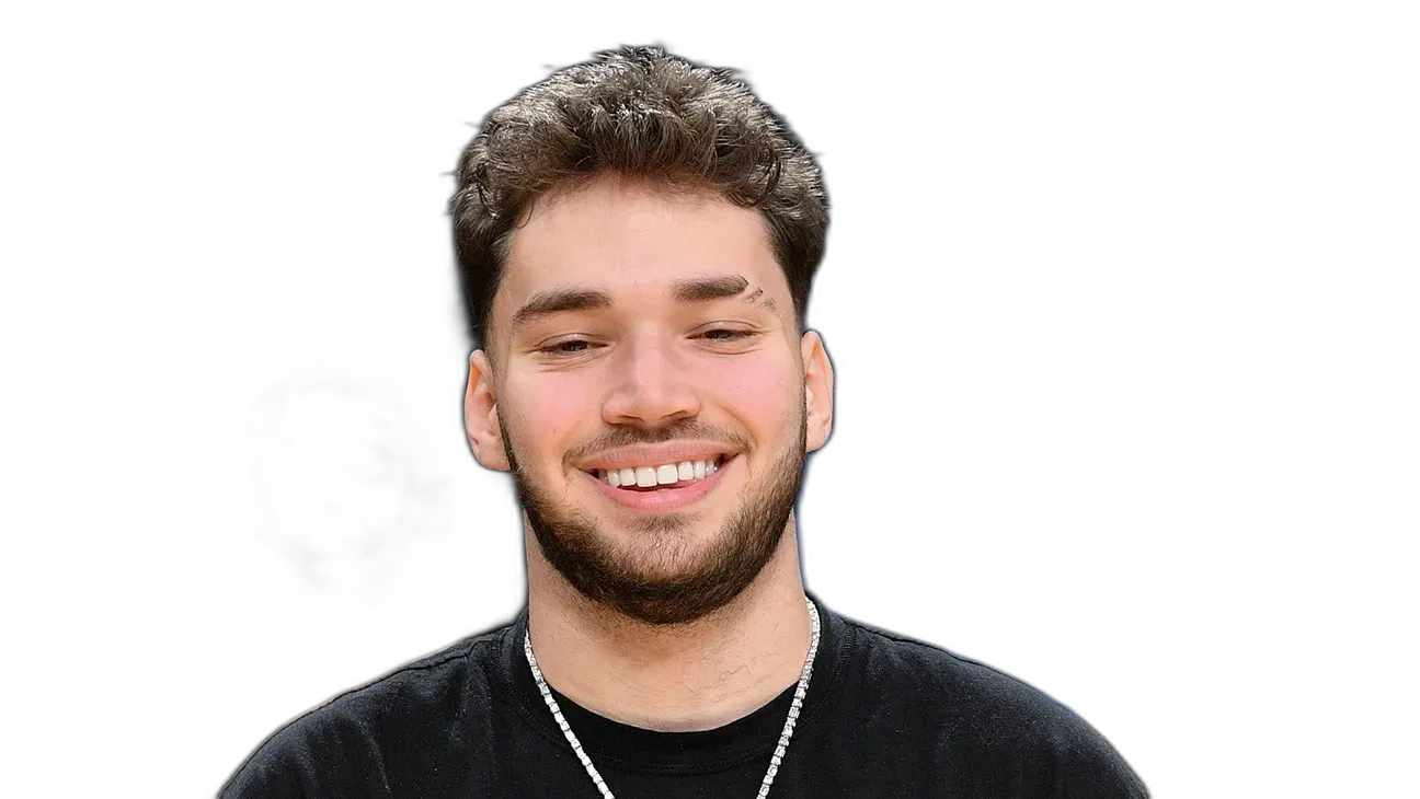 https://songwiz.nyc3.digitaloceanspaces.com/static/model/thumbnails/AdinRoss.webp