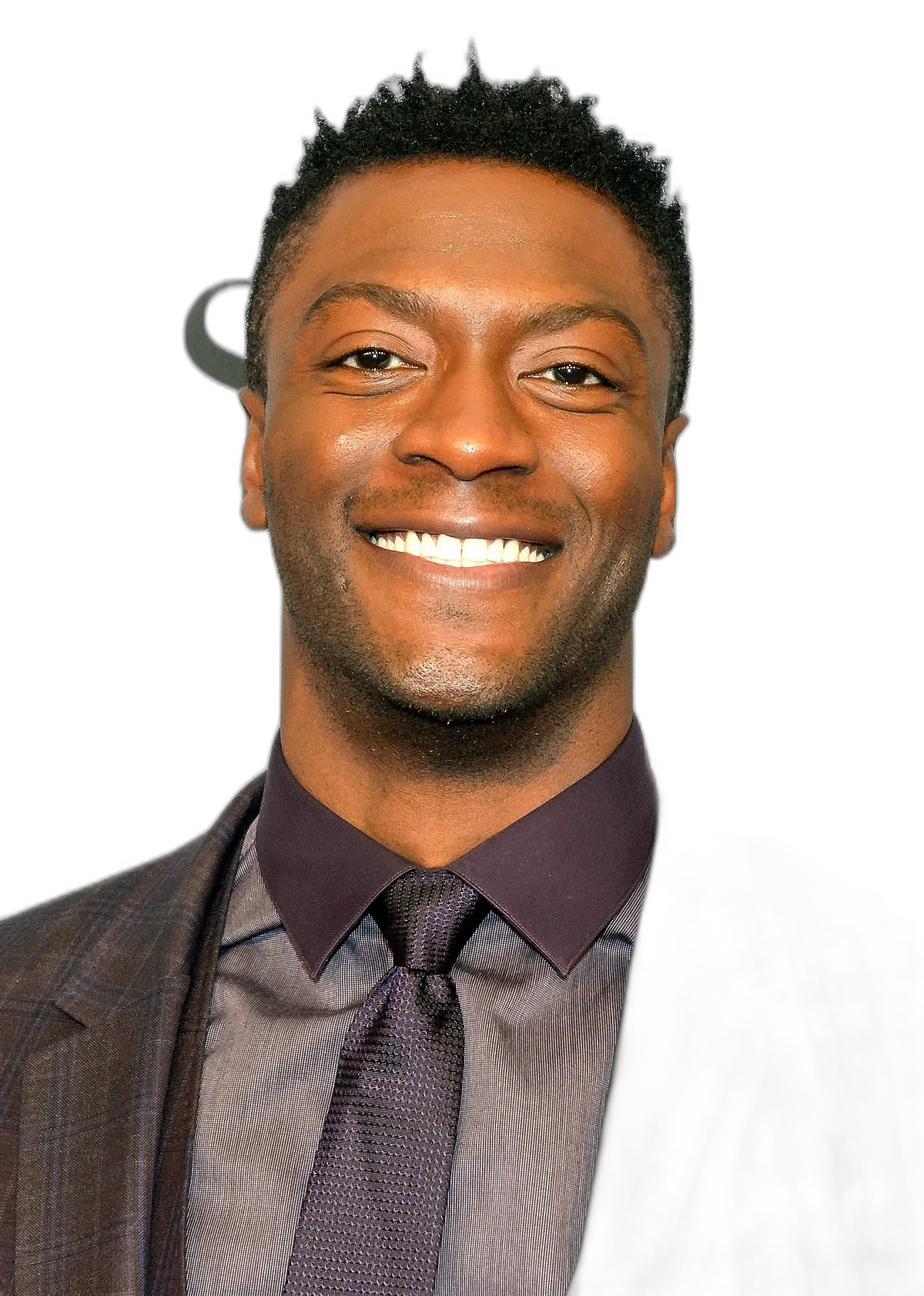 https://songwiz.nyc3.digitaloceanspaces.com/static/model/thumbnails/AldisHodge.webp