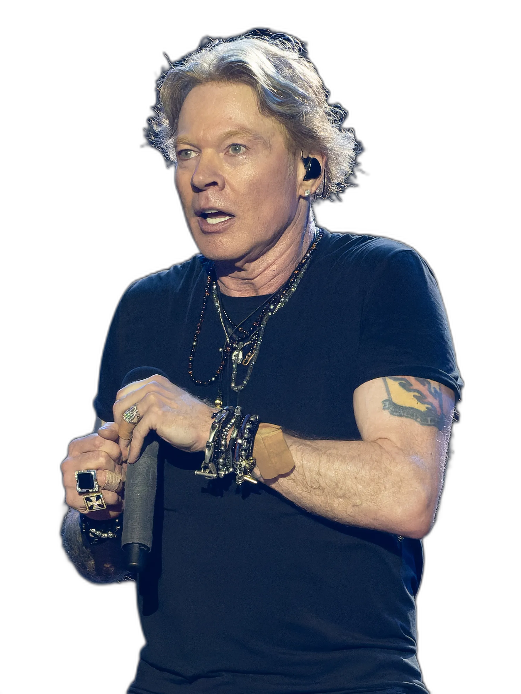 https://songwiz.nyc3.digitaloceanspaces.com/static/model/thumbnails/AxlRose.webp
