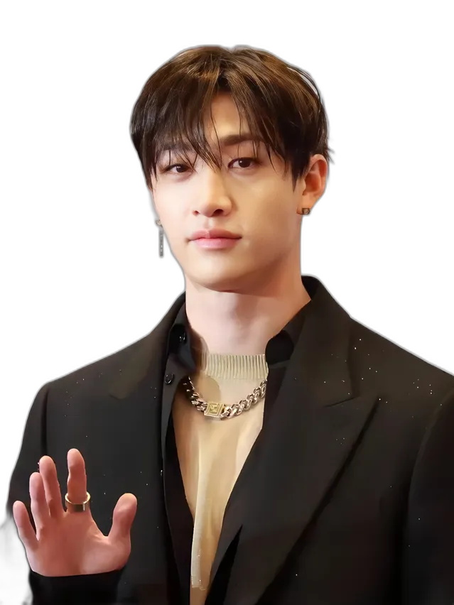 https://songwiz.nyc3.digitaloceanspaces.com/static/model/thumbnails/BangChanStrayKids.webp
