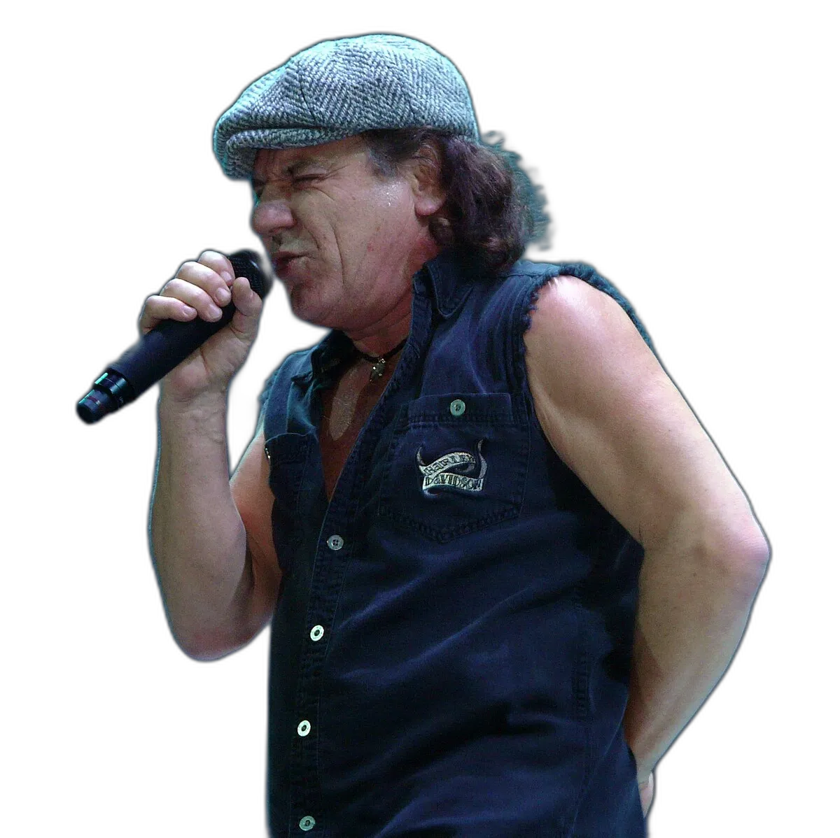 https://songwiz.nyc3.digitaloceanspaces.com/static/model/thumbnails/BrianJohnson.webp