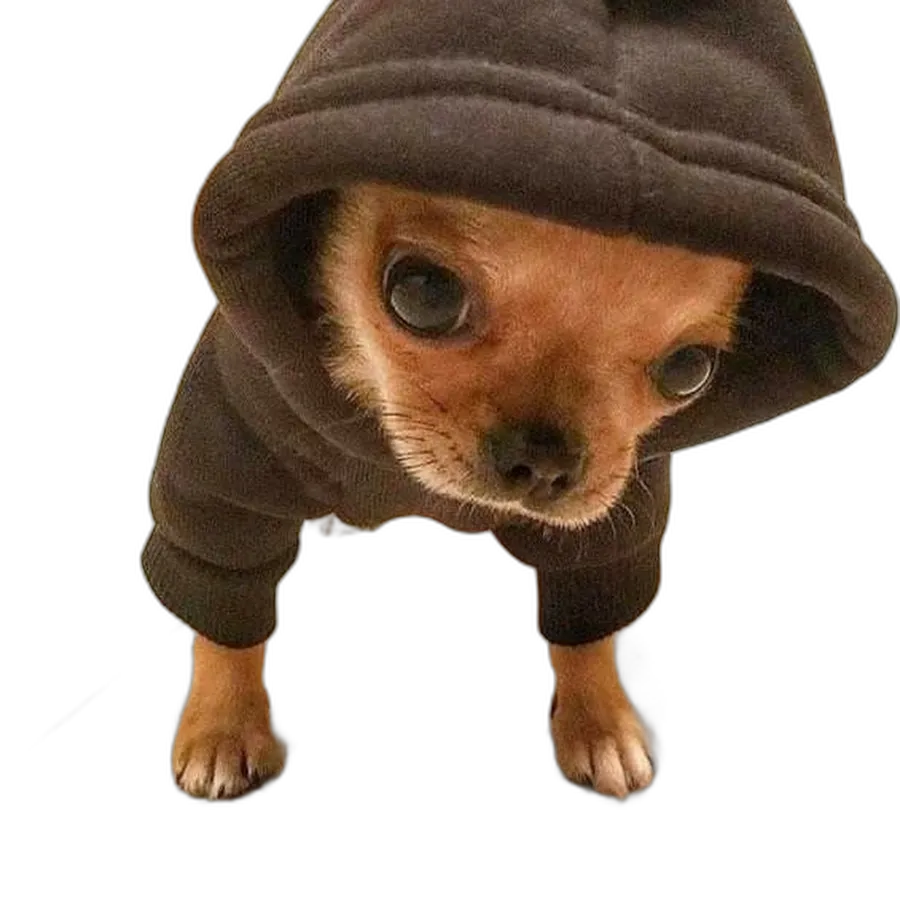 https://songwiz.nyc3.digitaloceanspaces.com/static/model/thumbnails/DogPack404YouTuber.webp