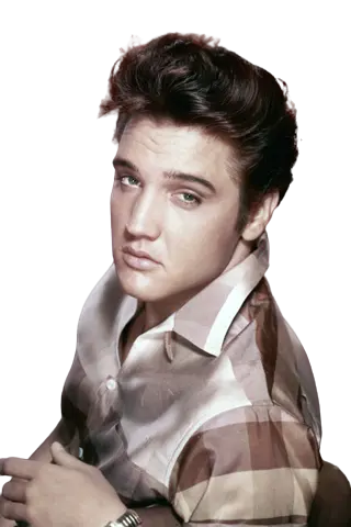 https://songwiz.nyc3.digitaloceanspaces.com/static/model/thumbnails/ElvisPresley.webp
