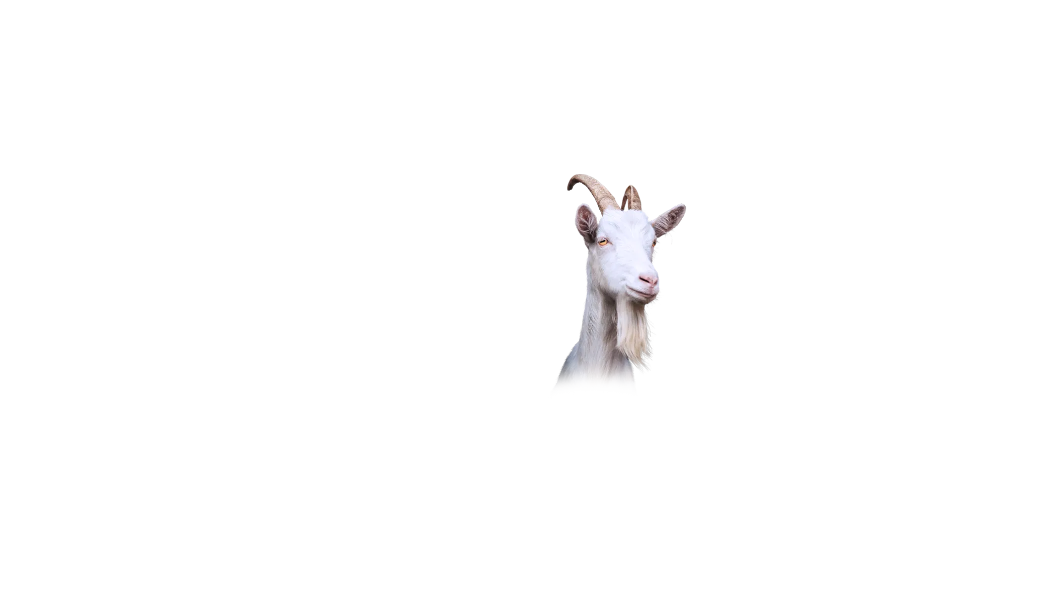 https://songwiz.nyc3.digitaloceanspaces.com/static/model/thumbnails/GoatGoatSimulator13.webp
