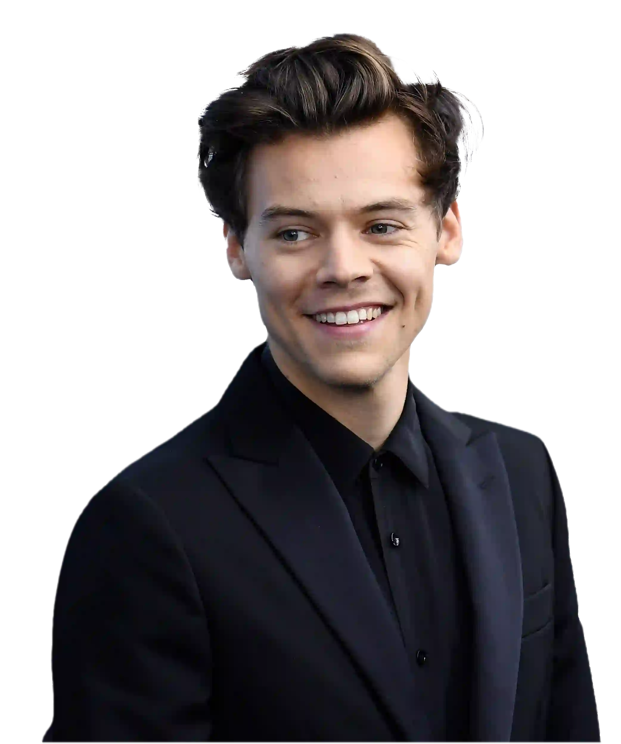 https://songwiz.nyc3.digitaloceanspaces.com/static/model/thumbnails/HarryStyles.webp