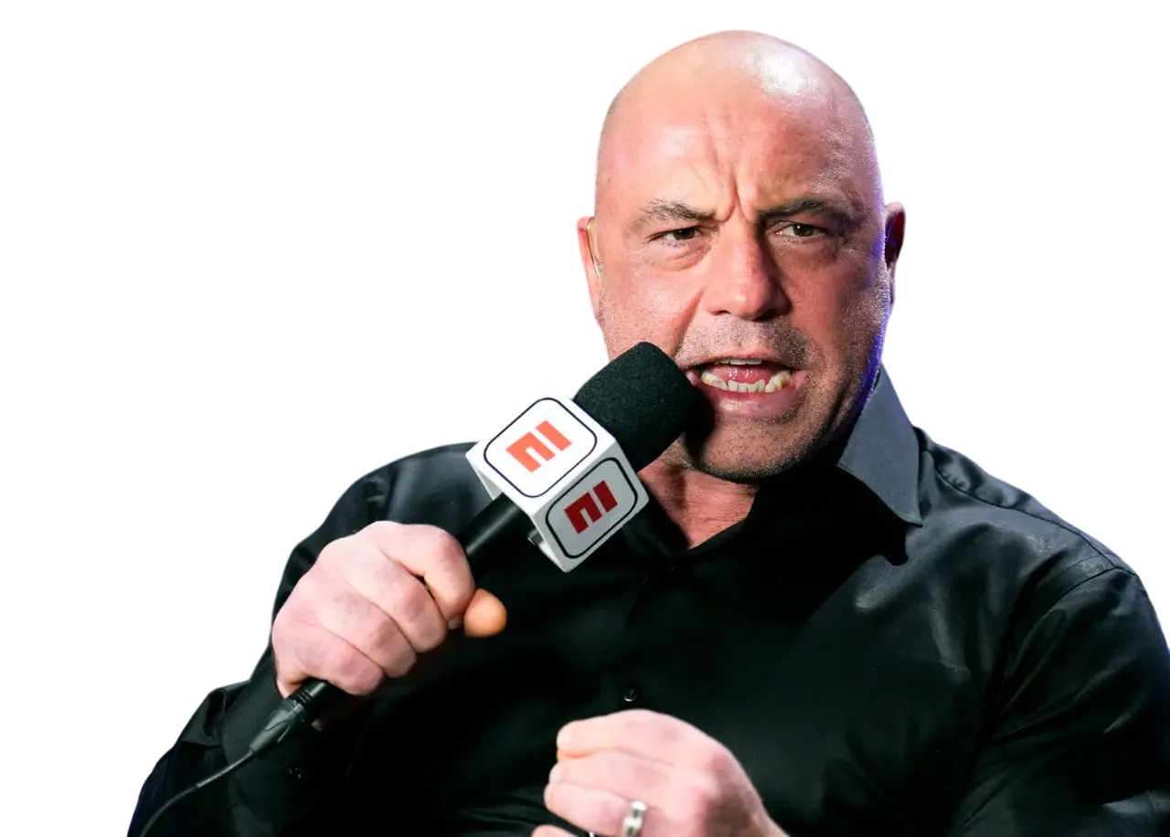 https://songwiz.nyc3.digitaloceanspaces.com/static/model/thumbnails/JoeRogan.webp
