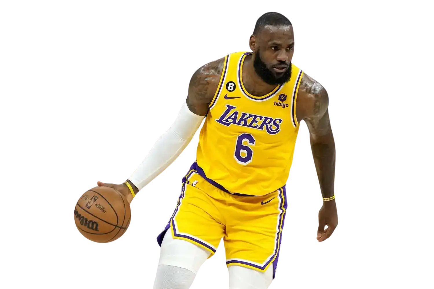 https://songwiz.nyc3.digitaloceanspaces.com/static/model/thumbnails/LeBronJames.webp