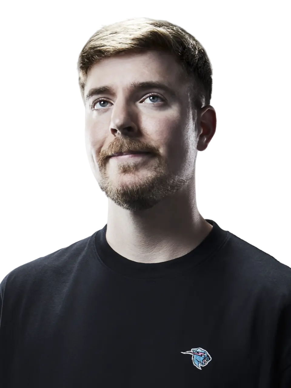 https://songwiz.nyc3.digitaloceanspaces.com/static/model/thumbnails/MrBeast.webp