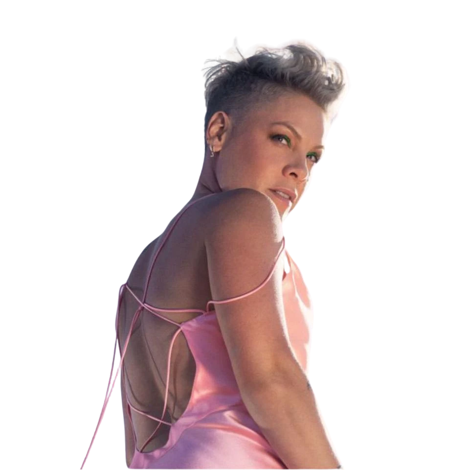 https://songwiz.nyc3.digitaloceanspaces.com/static/model/thumbnails/PinkTrustfall.webp