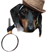 https://songwiz.nyc3.digitaloceanspaces.com/static/model/thumbnails/SherlockBonesCrusoetheDachshund.webp