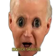https://songwiz.nyc3.digitaloceanspaces.com/static/model/thumbnails/SkibidiBiden.webp
