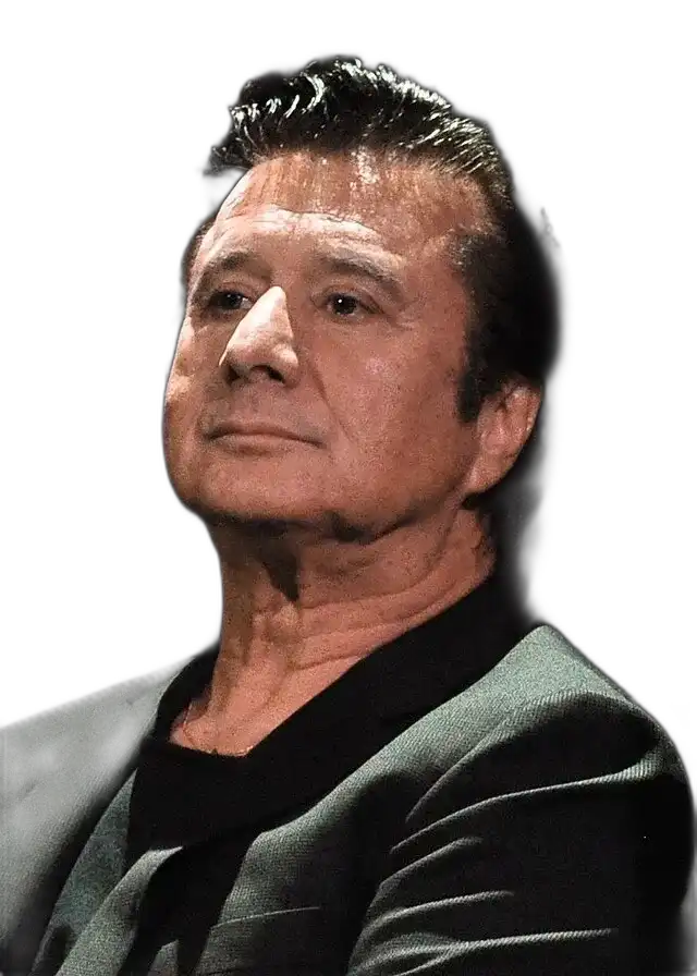 https://songwiz.nyc3.digitaloceanspaces.com/static/model/thumbnails/StevePerry.webp