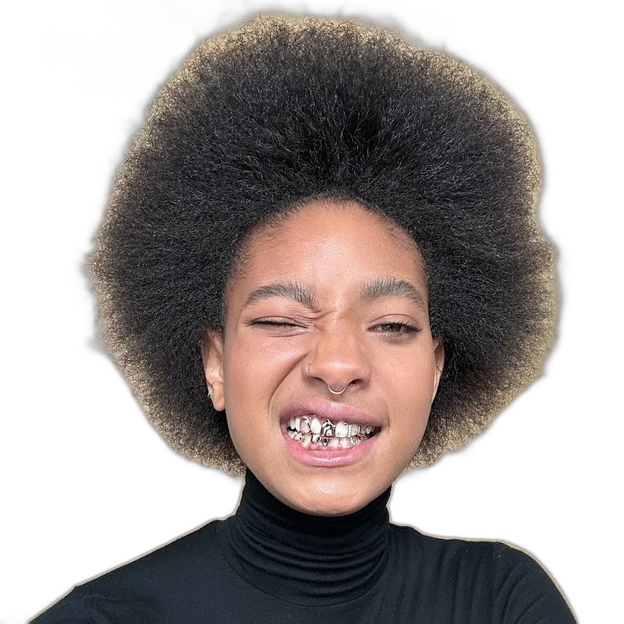https://songwiz.nyc3.digitaloceanspaces.com/static/model/thumbnails/WillowSmith.webp